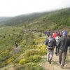 VII_MarchaSenderismo2014 (28)